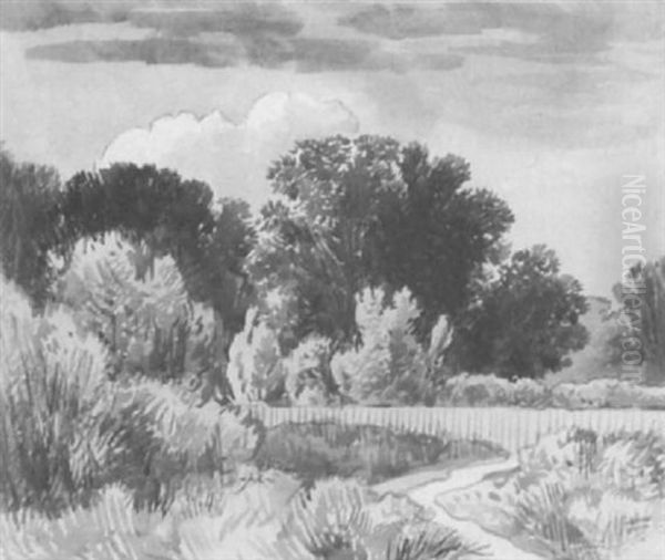 Baumlandschaft Mit Fusweg An Einem Zaun - view 1
