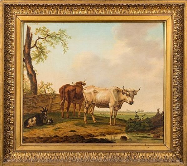 Cattle And Goats In An Open Landscape - view 1