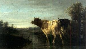 Cattle Watering Cattle Watering