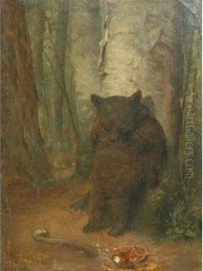 The Bashful Bear