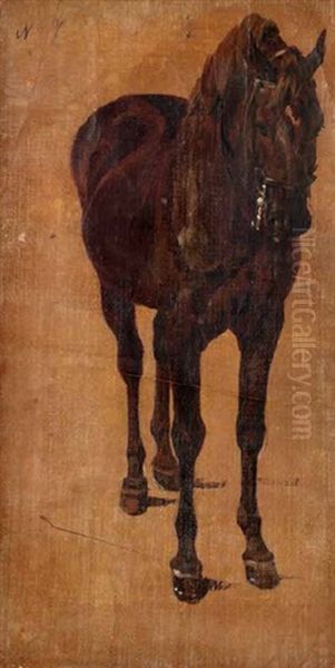 Gezaumtes Pferd (study) - view 1
