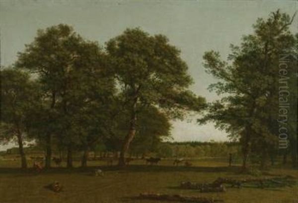 Weideauen Bei Dietramszell - view 1