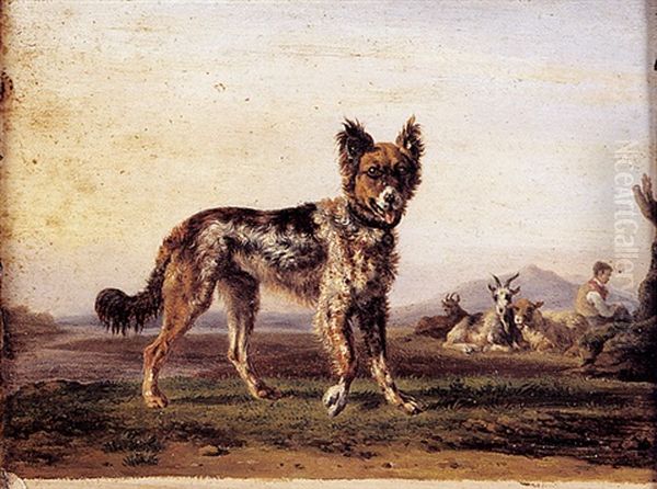 Chien De Berger Pres D'un Troupeau - view 1