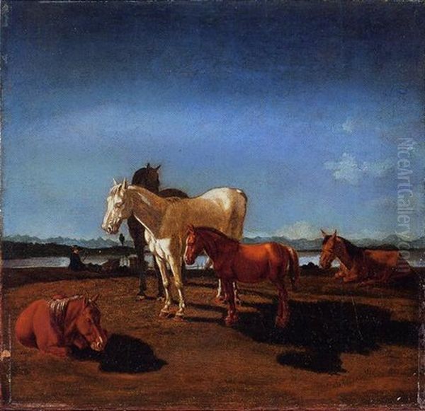 Pferde Auf Der Weide - view 1