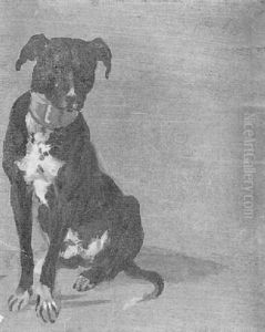 Schwarzer Hund Mit Breitem Halsband, Sitzend