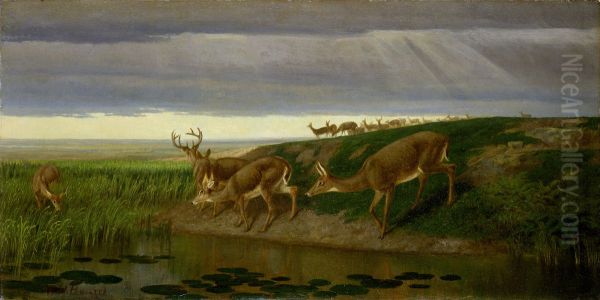 Deer On The Prairie - view 1