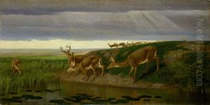 Deer On The Prairie by William Holbrook Beard