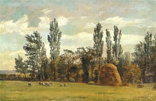 Landscape With Haystack, Tall Trees, Grazing Sheep - view 1