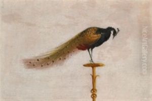 En Pafugl Pa Hvid Grund (a Peacock On White Ground) by Christen Kobke