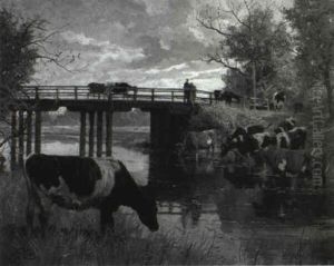 Cattle Watering At River Cattle Watering At River