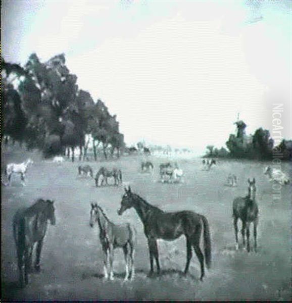 Auf Der Pferdeweide - view 1