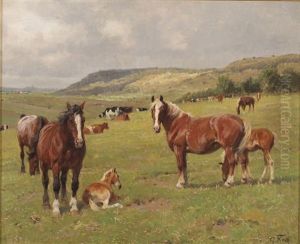 Horses