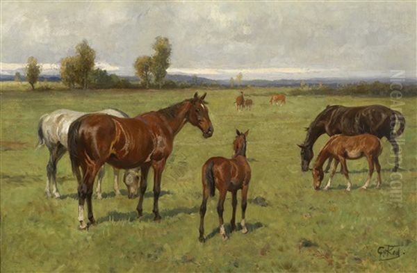 Pferde Auf Der Weide - view 1