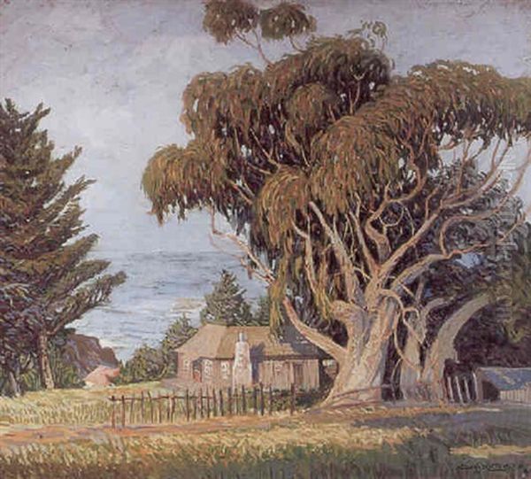 Eucalyptus Trees Near Point Lobos - view 1