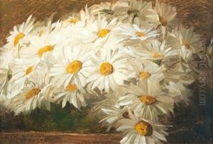 Marguerites Marguerites