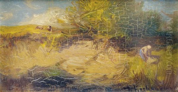 Ernte In Sommerlicher Landschaft - view 1