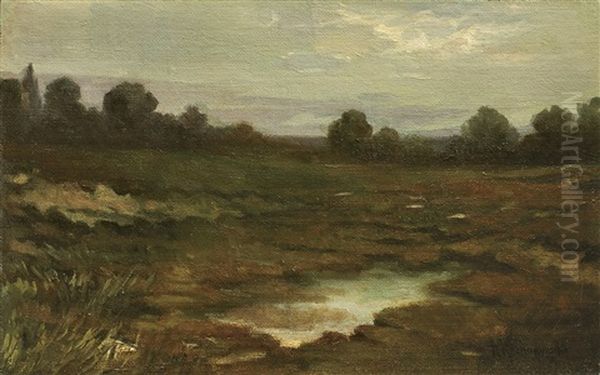 Flood-waters Landscape - view 1
