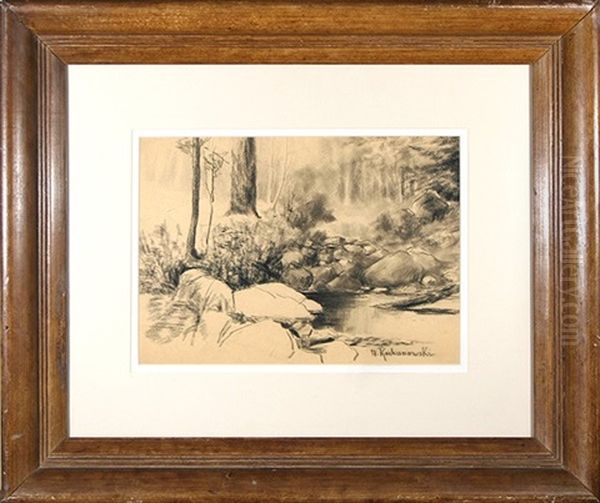 Woodland Stream - view 1