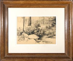 Woodland Stream