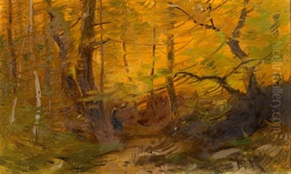 Herbstwald - view 1