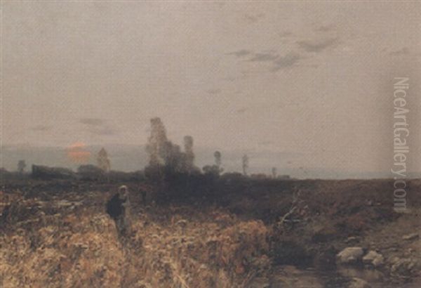 Bauern In Moorlandschaft - view 1