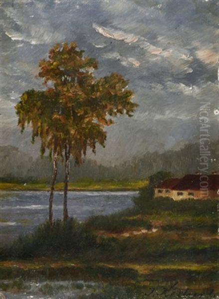 Zwei Birken Und Haus Am See - view 1