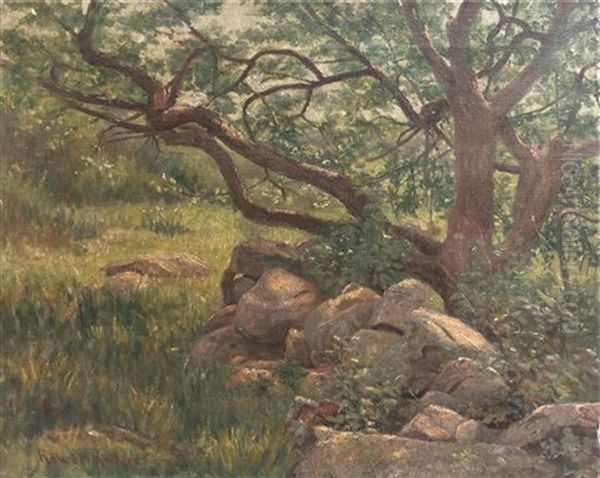 Forest - view 1