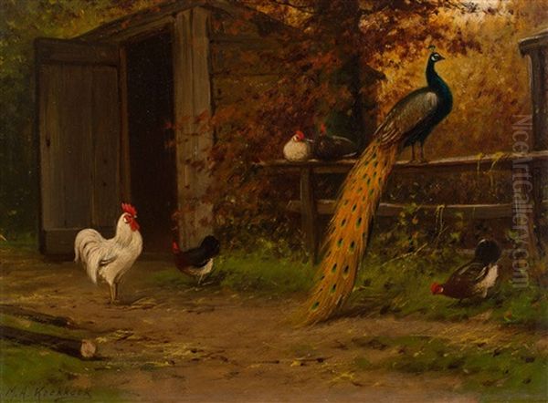 The Hen House - view 1