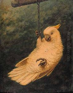 Untitled - Parrot by Marinus Adrianus Koekkoek the Younger