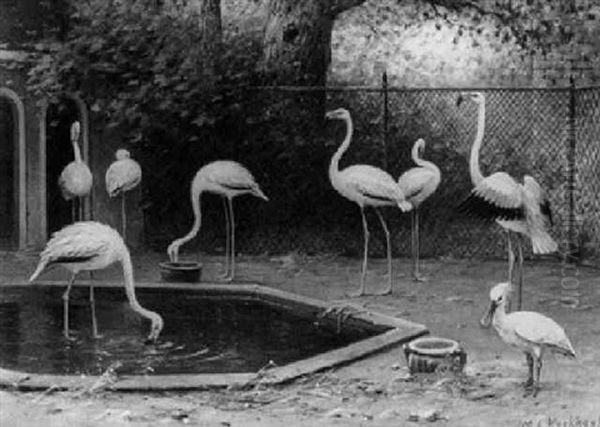 Flamingos At The Zoo - view 1