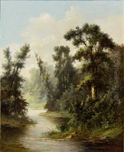 Bewaldete Flusslandschaft An Einem Dunstigen Morgen