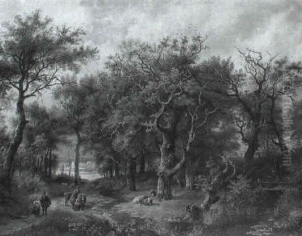 Wooded Hilly River Landscape - view 1