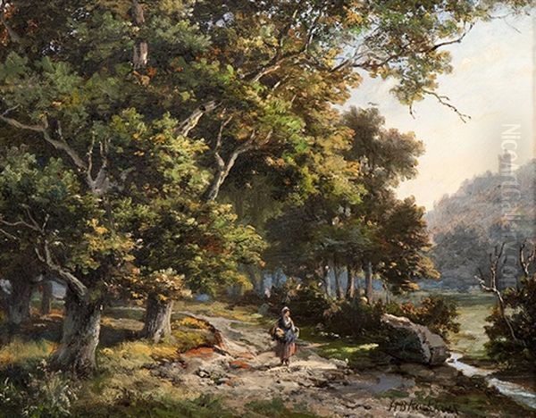 On A Path On The Edge Of A Forest - view 1