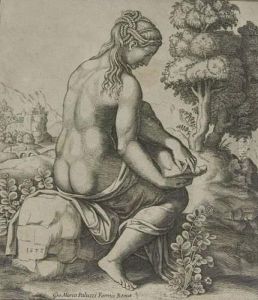 Venus, Von Den Dornen Des Rosenstockes Verwundet.