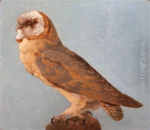 Barn Owl by Hendrik Pieter Koekkoek