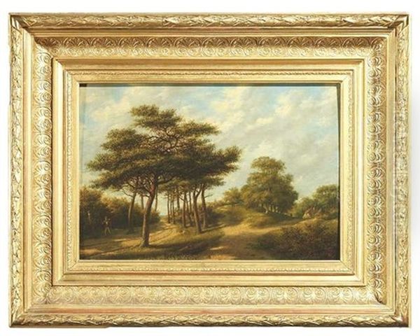 Sommerliche Landschaft Mit Allee - view 1