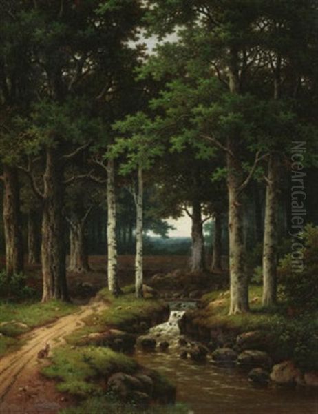Sommerliche Waldlandschaft Mit Bachlein - view 1