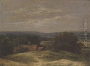 An Extensive Landscape thumbnail