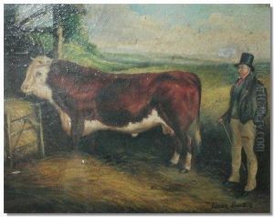 Study Of A Bull In Abarn