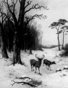 A Red Deer And A Doe On The Edge Of A Wintry Forest
