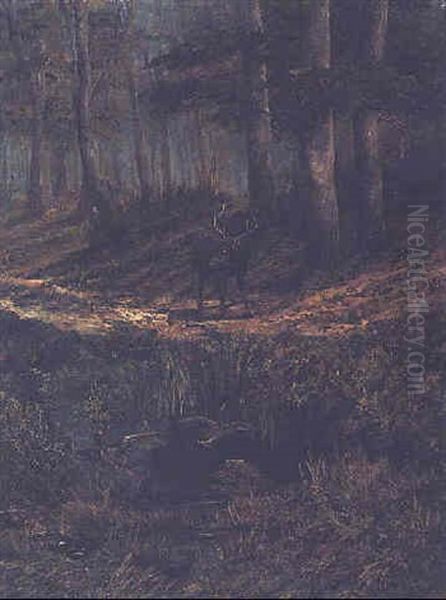 A Stag And Wild Ducks In A Forest - view 1