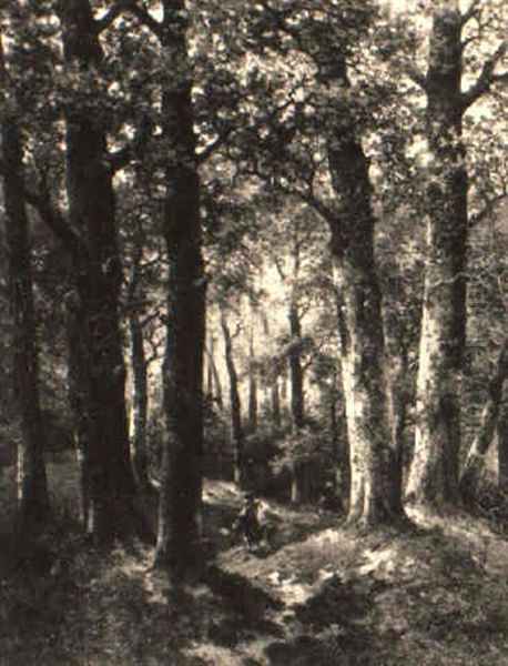 A Forest Scene - view 1