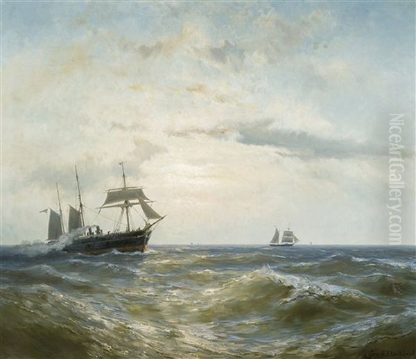 Marine - view 1