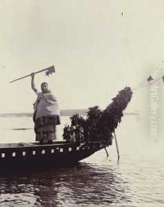 Seven Studies Taken In Auckland And Environs, The Majority Of Maori Subjects by William Beattie