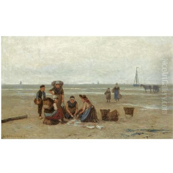 Sorting The Catch - view 1