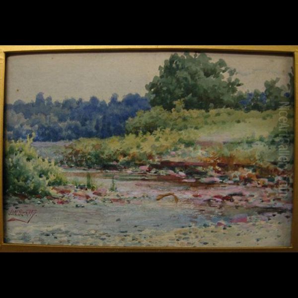 Shoreline Views - view 1