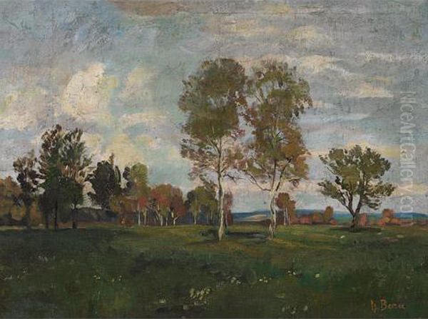 Landscape - view 1