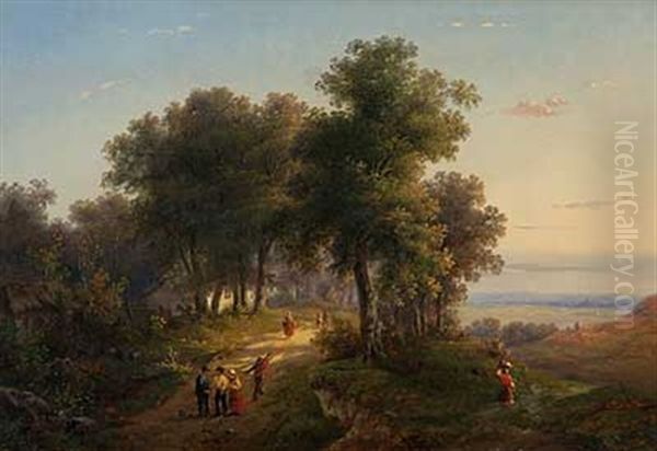 Blick Uber Sommerlichen Waldweg In Eine Weitlaufige Ebene - view 1