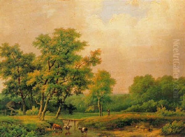 Bosachtig Landschap Met Riviertje - view 1