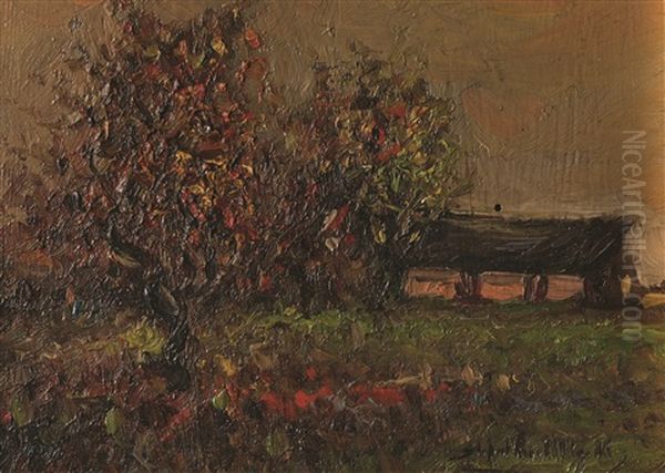 Paisaje - view 1